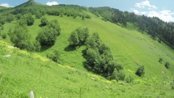 Caminho em prados alpinos — Vídeo de Stock