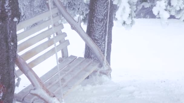 Girl on swing in forest — Stock Video