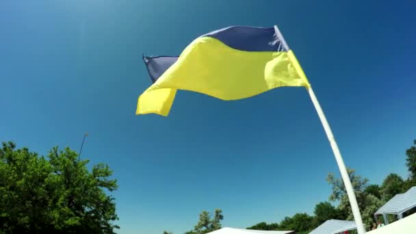 Bandera de Ucrania Flagstaff — Vídeo de stock