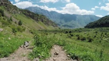 Alpine meadows yolundaki