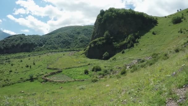 Camino en prados alpinos — Vídeos de Stock