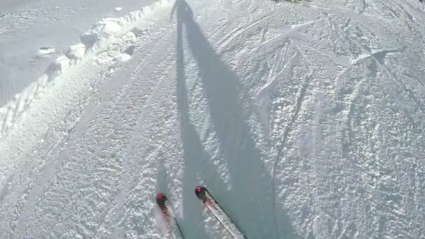 Zjazd narciarski w przyrodzie — Wideo stockowe