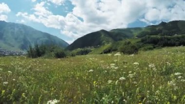 Alpine meadows yolundaki