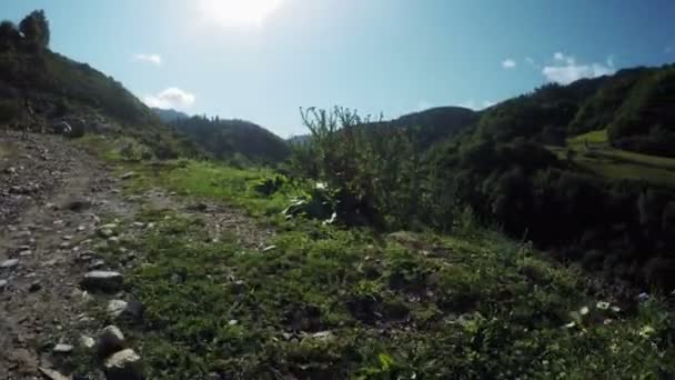 高山草原でパス — ストック動画