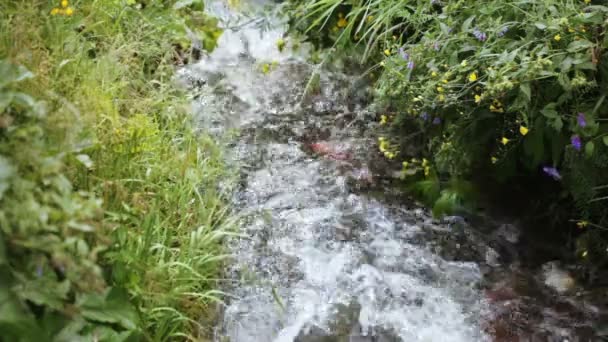 Horský potok v Gruzii — Stock video