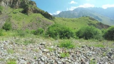 Alpine meadows yolundaki