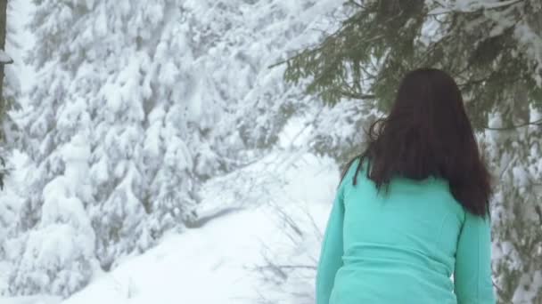 Chica en el bosque de invierno — Vídeo de stock