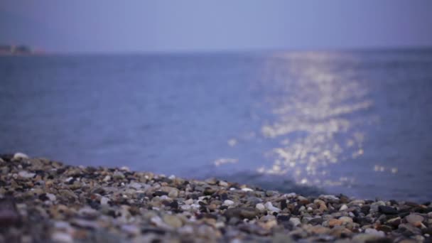 Moon Path on beach — Stock Video