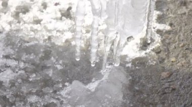 Üzerinden su damlayan buz sarkıtları