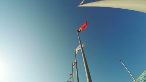 Banderas de países en el Parque Olímpico — Vídeo de stock