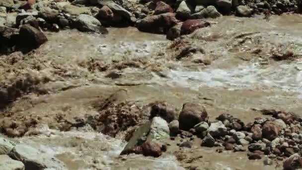 Cours d'eau de montagne en Géorgie — Video