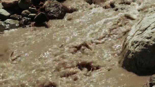 在佐治亚州的山间溪流 — 图库视频影像