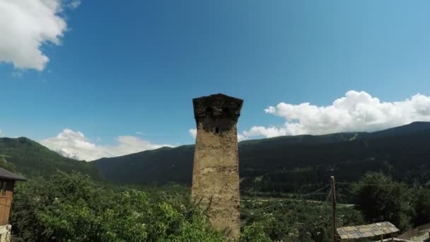 Svan toren Time Lapse — Stockvideo