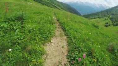 Alpine meadows yolundaki