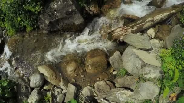 Arroyo de montaña en Georgia — Vídeo de stock