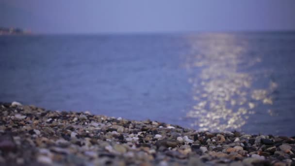 Månens bana på stranden — Stockvideo