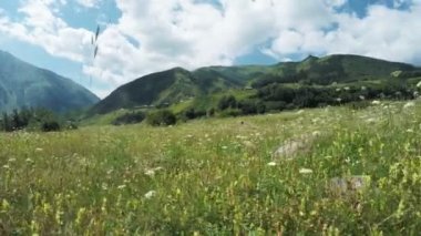 Alpine meadows yolundaki