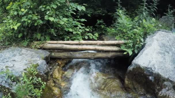 Mountain stream in Georgia — Stock Video