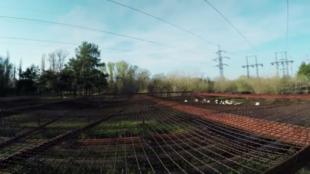 Sociaal vangnet onder elektrische leidingen — Stockvideo