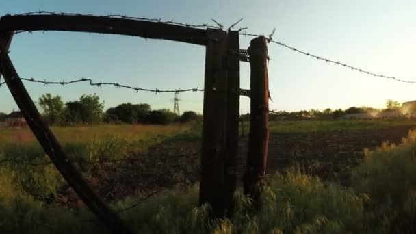 Barbed wire fence summer — Stock Video