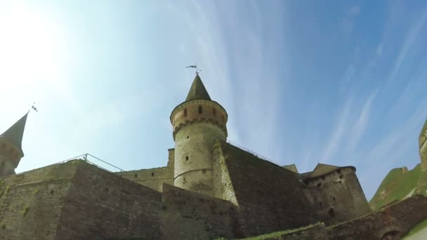 View on old castle — Stock Video