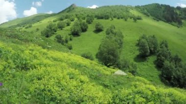 Alpine meadows yolundaki