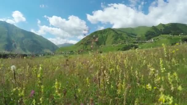 Alpine meadows yolundaki — Stok video