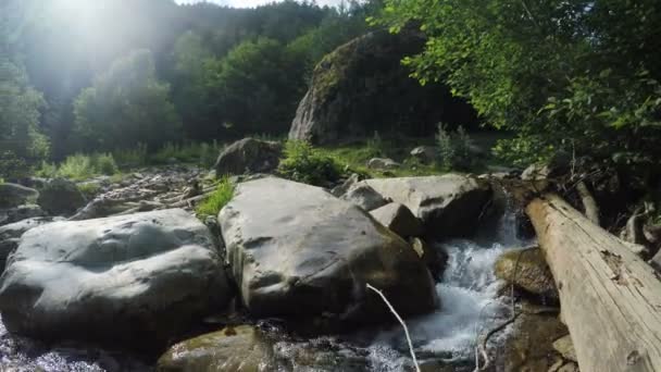 Fluxo de montanha na Geórgia — Vídeo de Stock