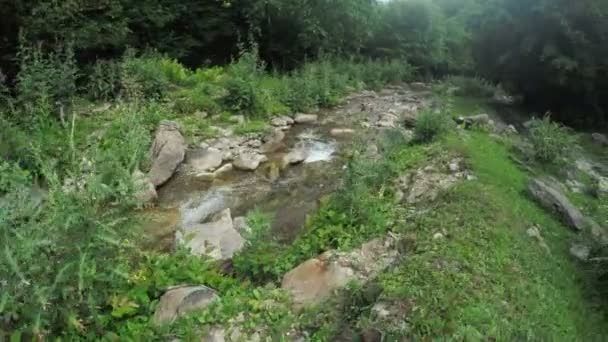 Arroyo de montaña en Georgia — Vídeos de Stock