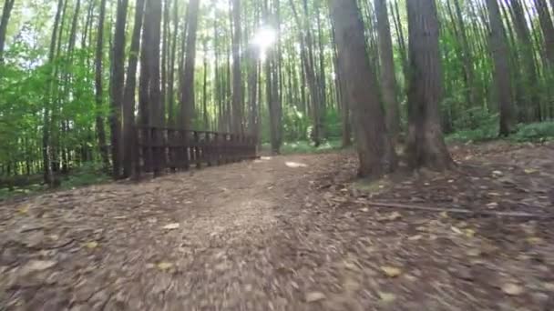 Chemin dans le parc citys 