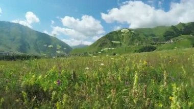 Alpine meadows yolundaki