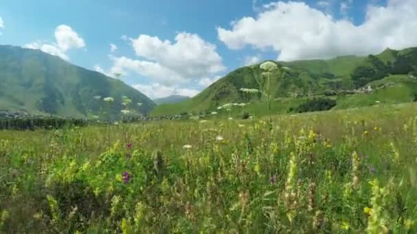 Stig i alpina ängar — Stockvideo