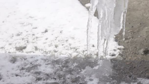 Glaces provenant de l'égouttement de l'eau — Video