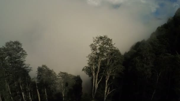 Подъемы в горах в летний туман — стоковое видео
