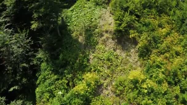 Grosellas de frambuesa en las montañas — Vídeo de stock