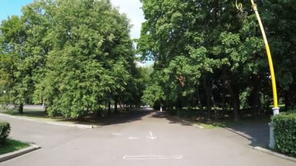 都市公園における路地 — ストック動画