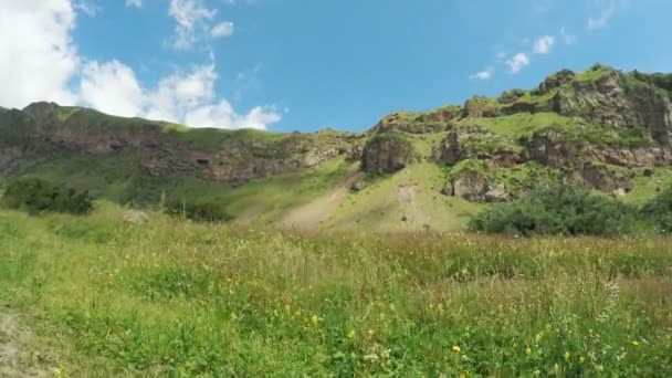 Caminho em prados alpinos — Vídeo de Stock