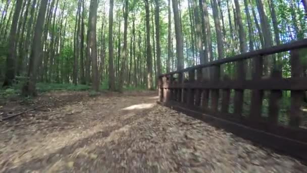 Chemin dans le parc citys 