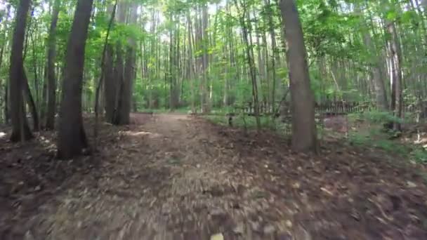 Chemin dans le parc citys 