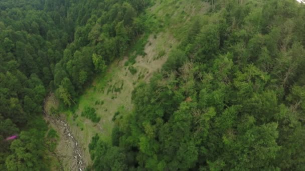 Arroyo de montaña en Georgia — Vídeo de stock