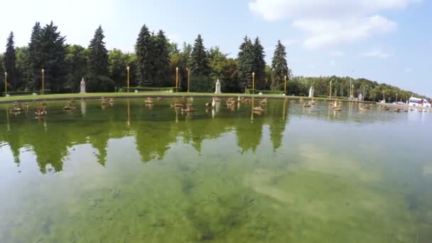 Пруд с фонтаном в парке — стоковое видео