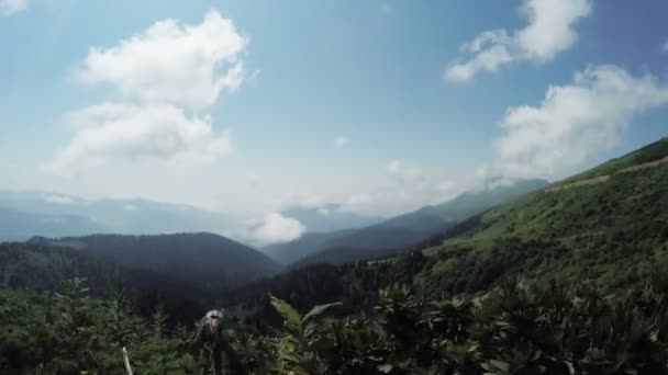 Chemin dans les montagnes 