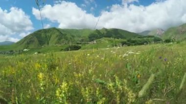 Alpine meadows yolundaki