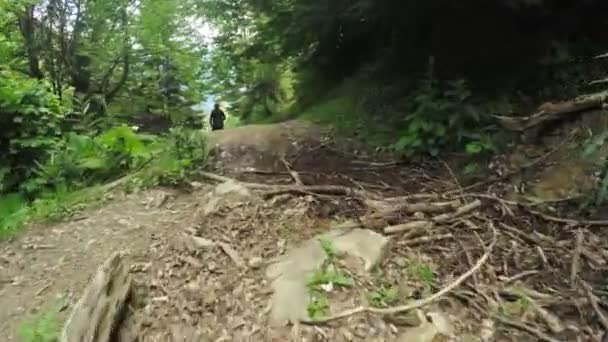 Ścieżka w alpejskich łąk — Wideo stockowe
