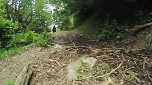 Camino en prados alpinos — Vídeo de stock