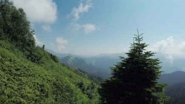 Chemin dans les montagnes — Video