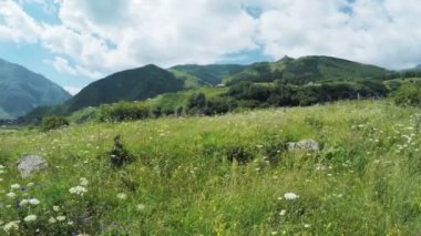 Alpine meadows yolundaki
