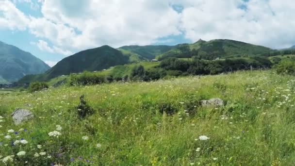 Camino en prados alpinos — Vídeos de Stock