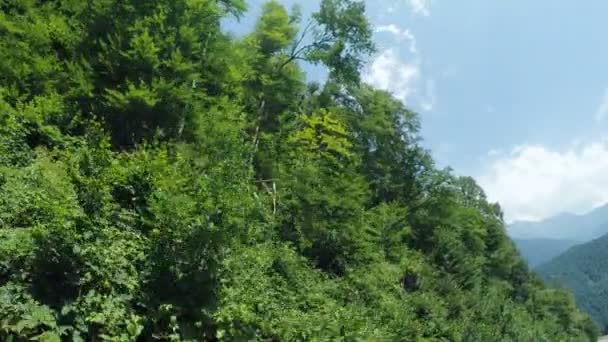 夏の山でリフト — ストック動画