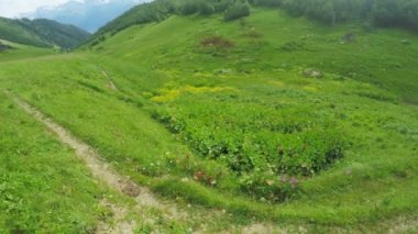 Alpine meadows yolundaki